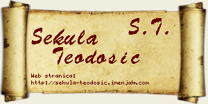 Sekula Teodosić vizit kartica